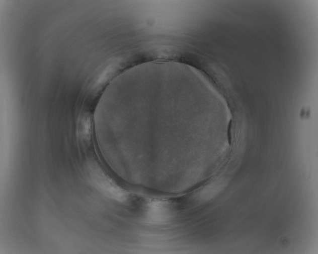 X0000112470336200909071139