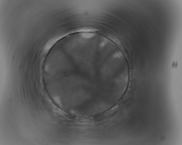 X0000112470337200909071138