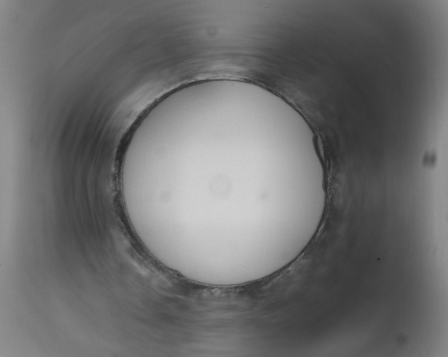 X0000112470338200909071138