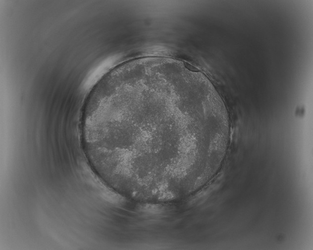 X0000112470341200909071138