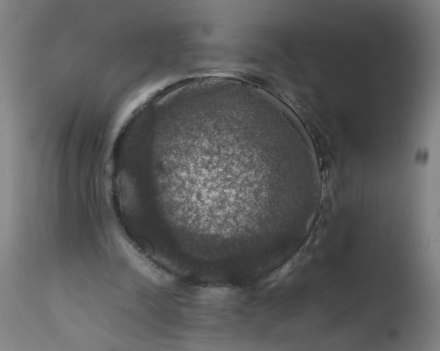 X0000112470342200909071138