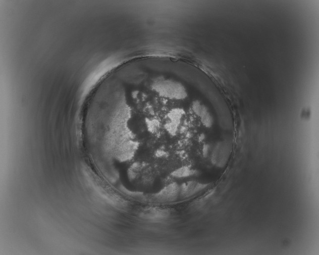 X0000112470343200909071138