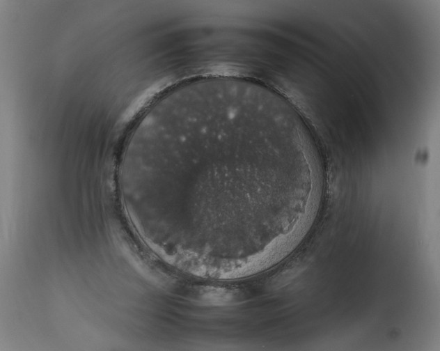 X0000112470347200909071138