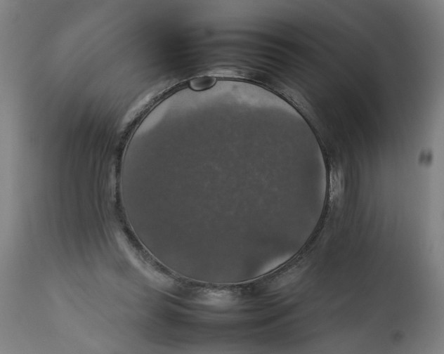 X0000112470349200909071138