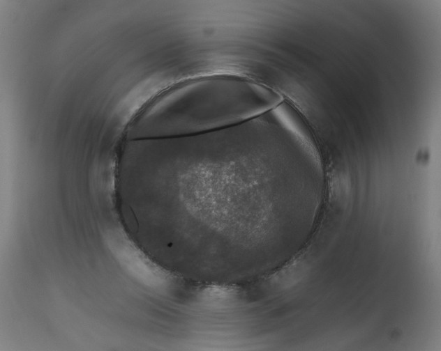 X0000112470350200909071138