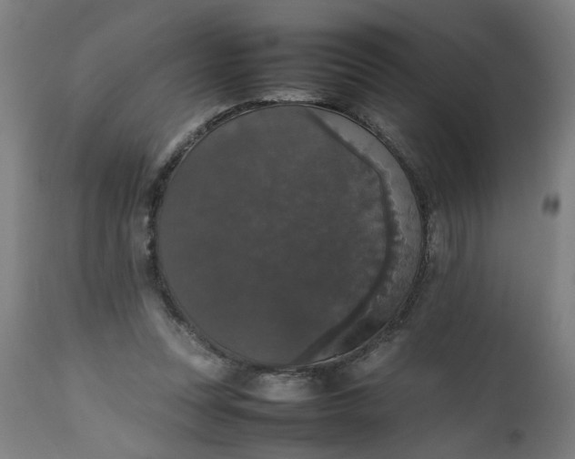 X0000112470351200909071138