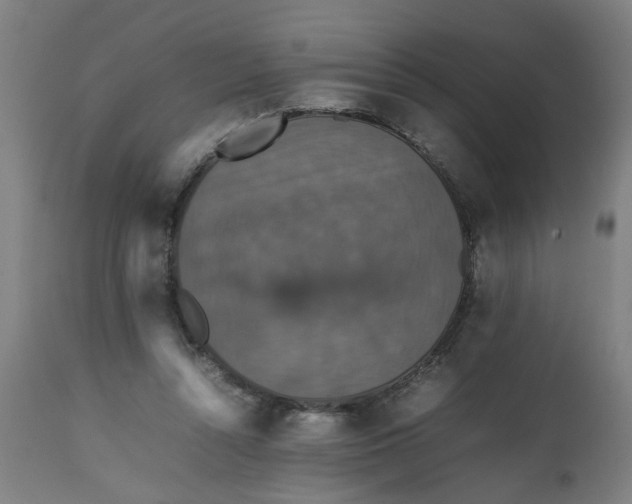 X0000112470352200909071138