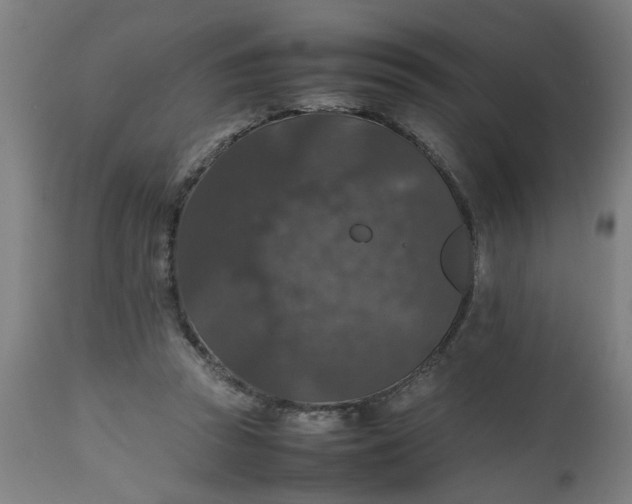 X0000112470353200909071138