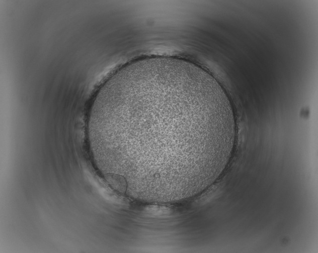 X0000112470354200909071138