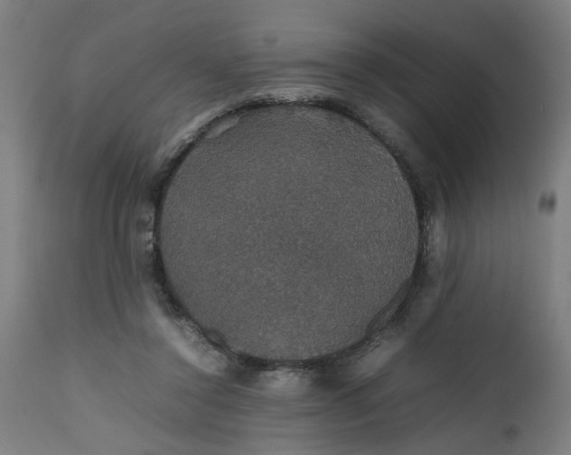 X0000112470356200909071138