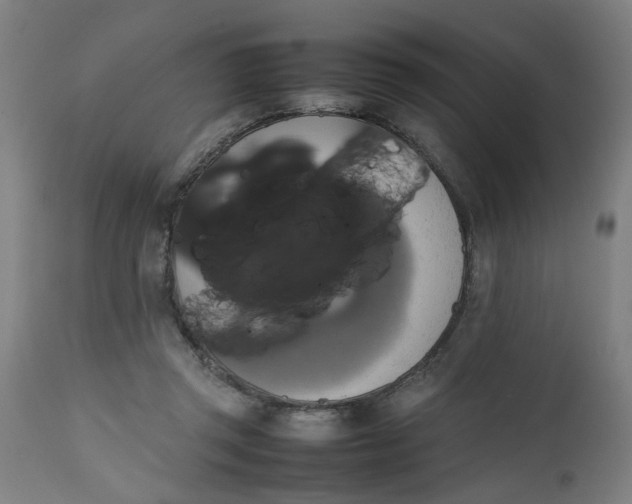 X0000112470357200909071138