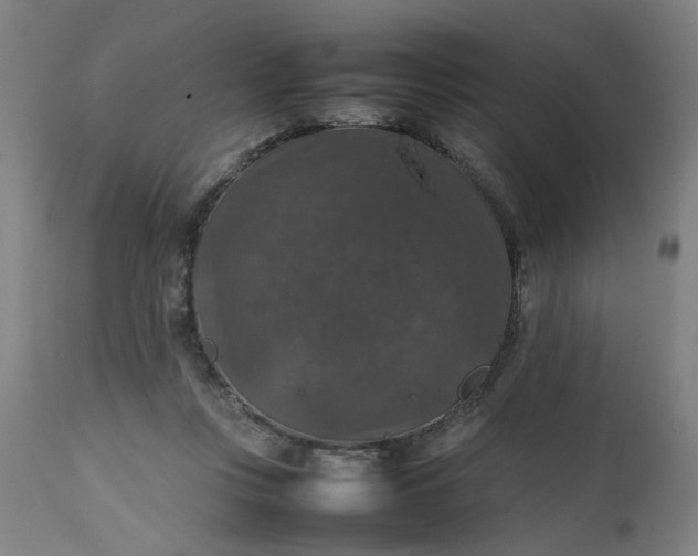 X0000112470359200909071138