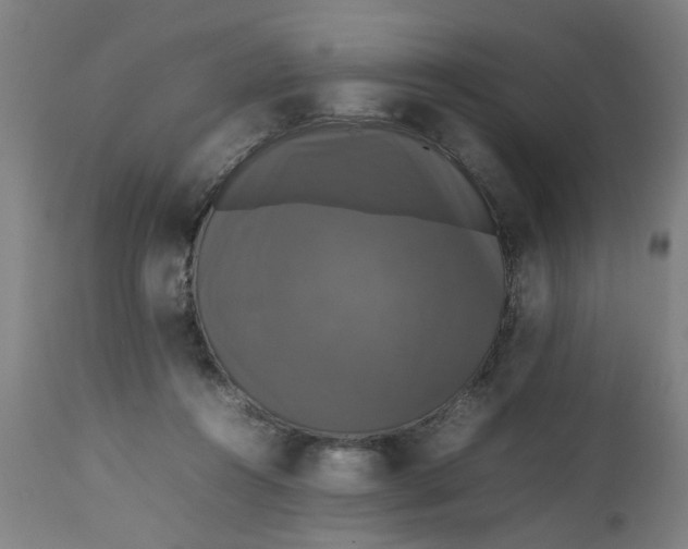 X0000112470360200909071139