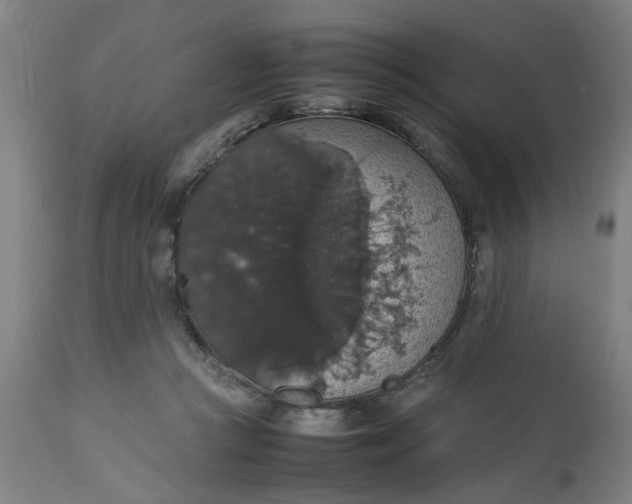 X0000112470361200909071139