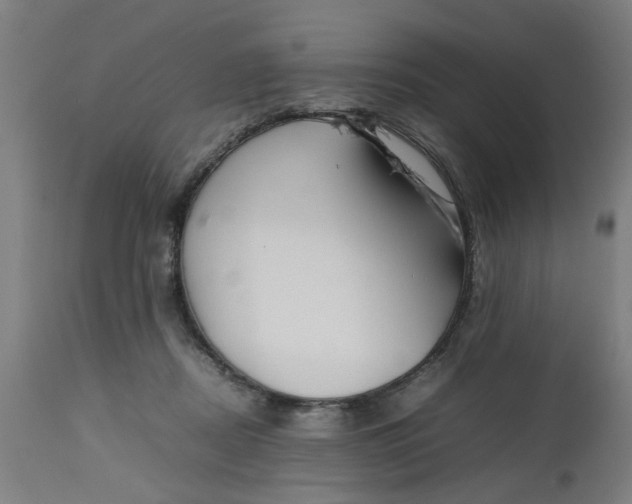 X0000112470362200909071139