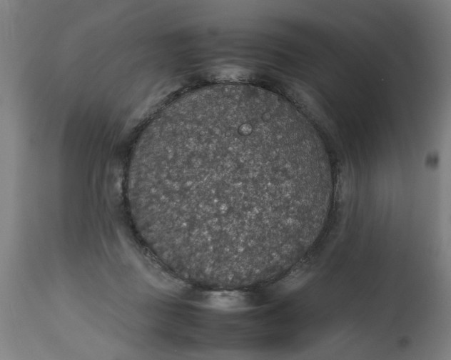 X0000112470363200909071139