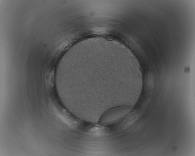 X0000112470364200909071139