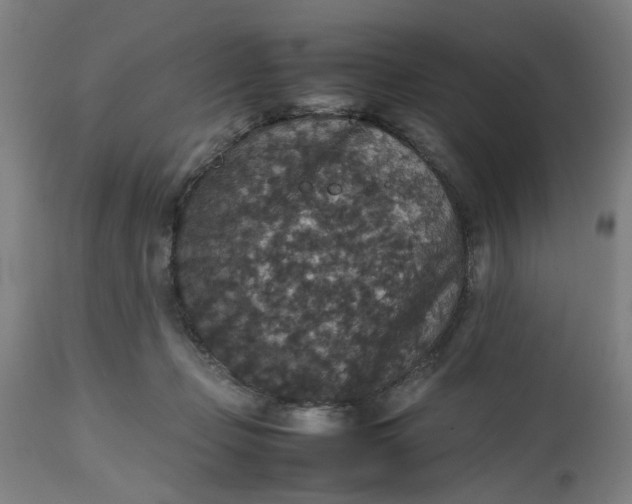 X0000112470365200909071139