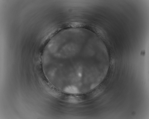 X0000112470367200909071139