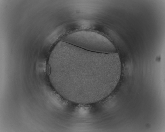 X0000112470368200909071139