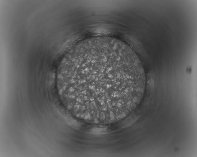 X0000112470369200909071139