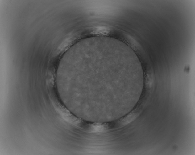 X0000112470370200909071139