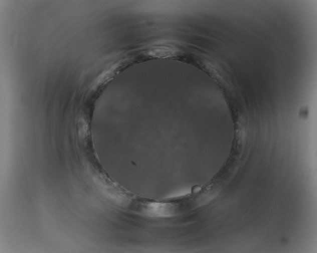 X0000112470371200909071139