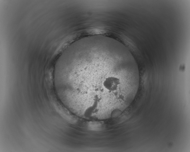 X0000112470373200909071139