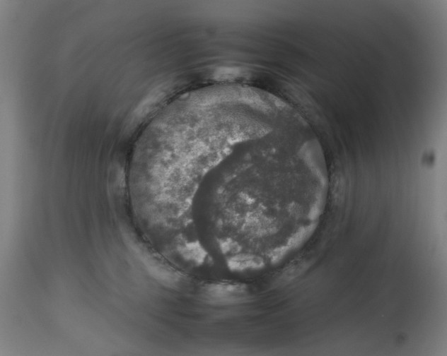 X0000112470375200909071139