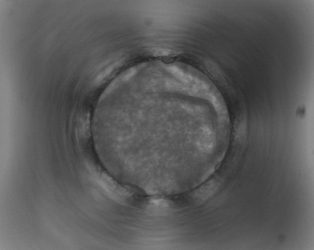 X0000112470376200909071139