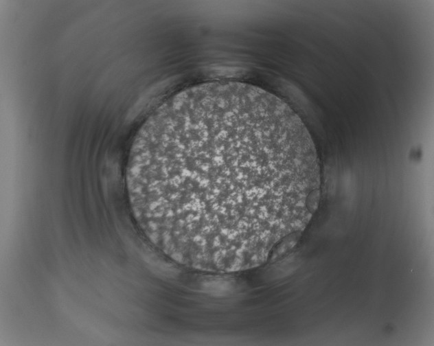 X0000112470377200909071139