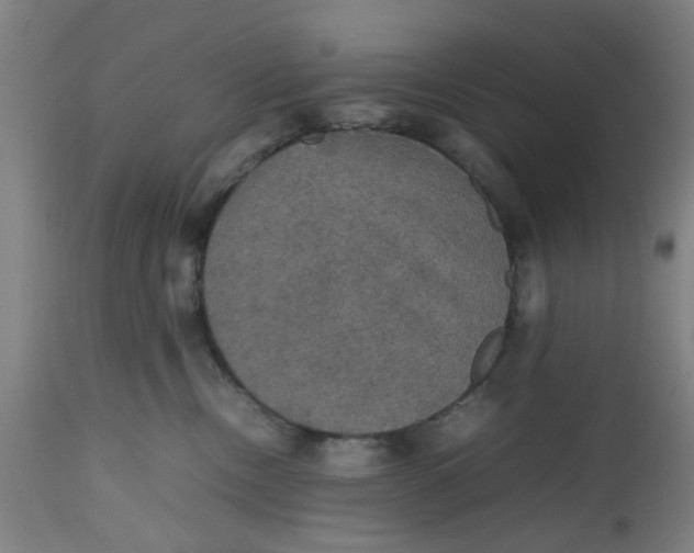 X0000112470378200909071139