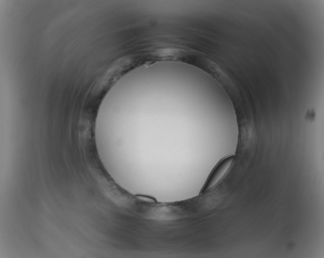 X0000112470379200909071139