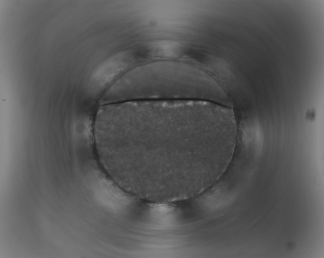 X0000112470380200909071139