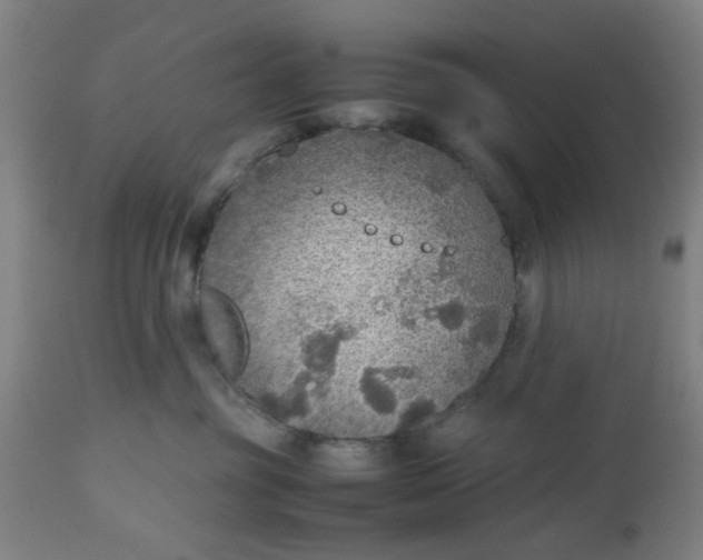 X0000112470381200909071139