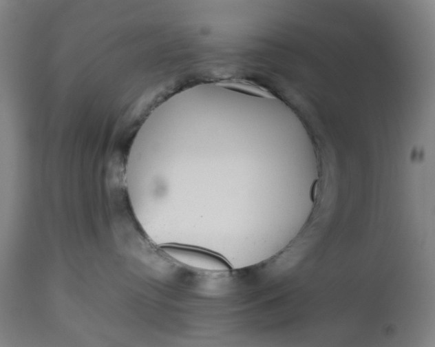 X0000112470384200909071139