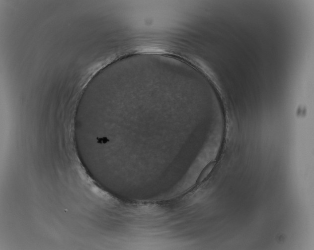 X0000112470385200909071138