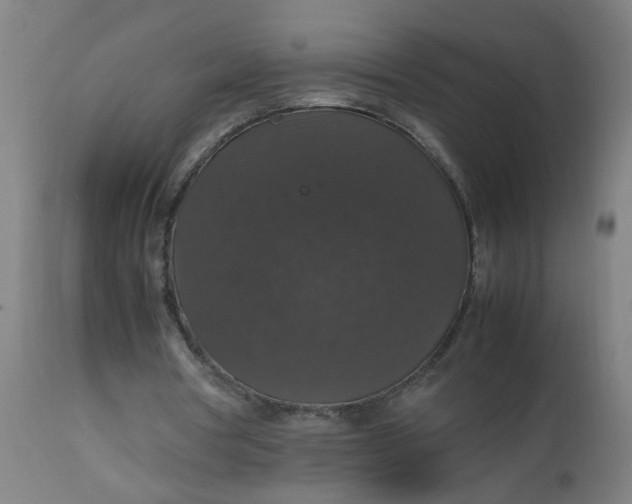 X0000112470386200909071138