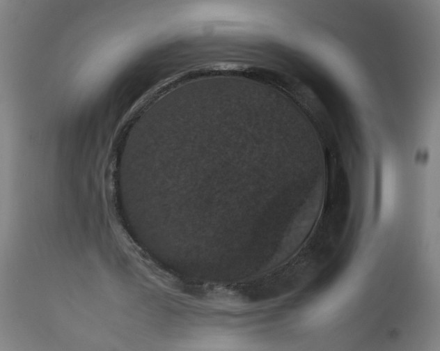 X0000112470387200909071138