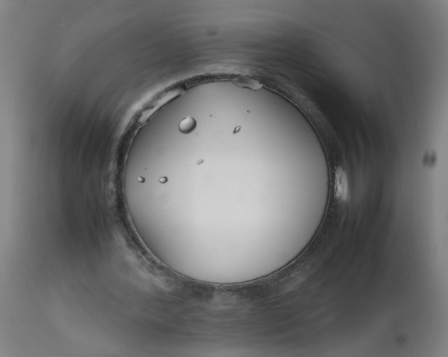 X0000112470388200909071138