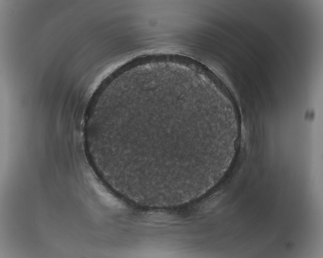 X0000112470389200909071138