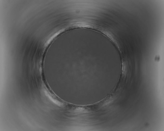 X0000112470390200909071138