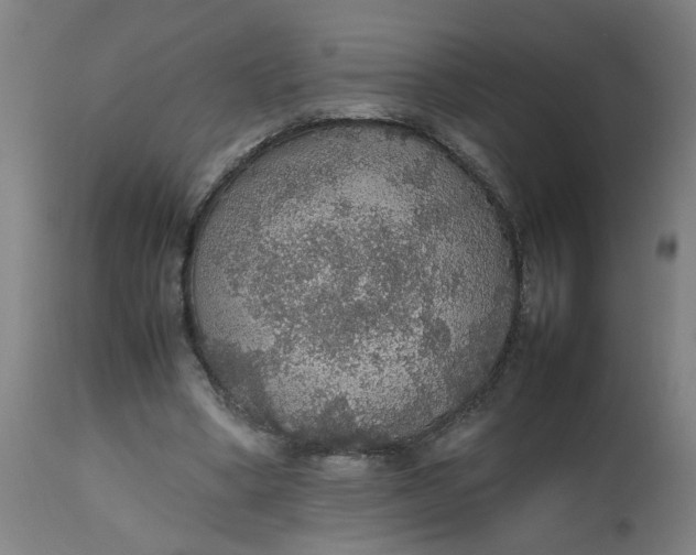 X0000112470394200909071138