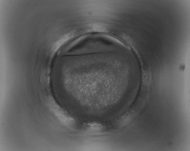 X0000112470395200909071138