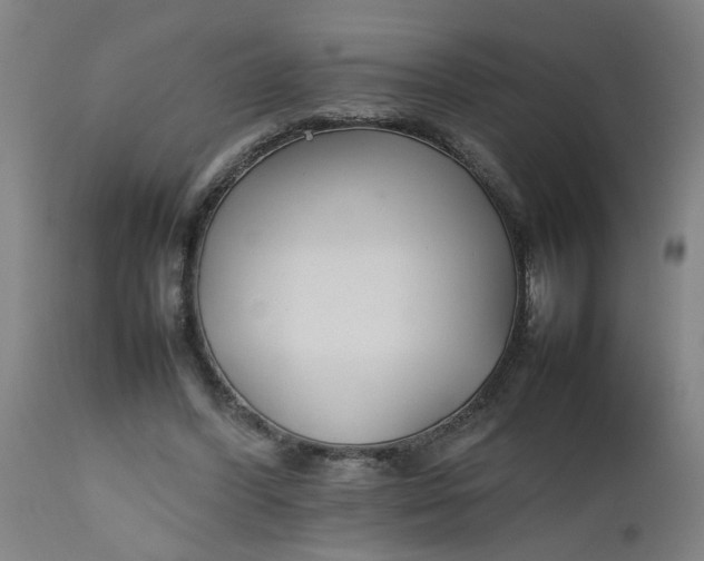 X0000112470396200909071138