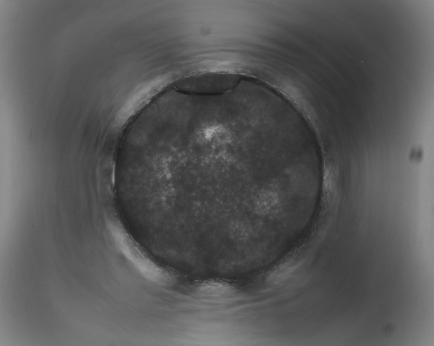 X0000112470397200909071138