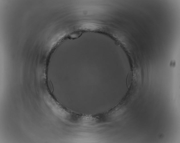 X0000112470399200909071138