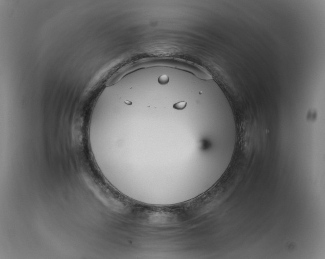 X0000112470400200909071138