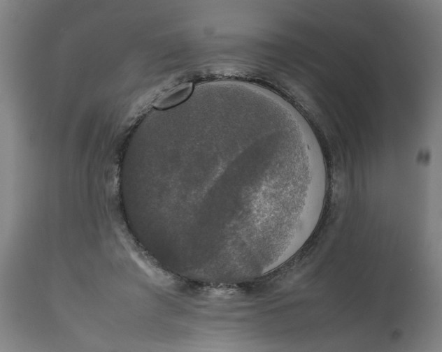 X0000112470401200909071138