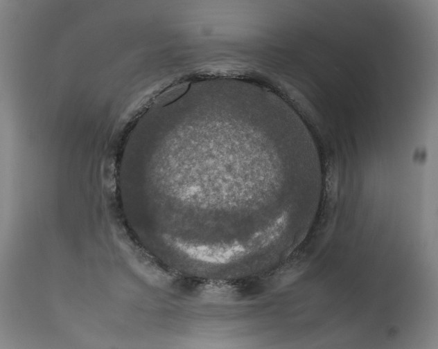 X0000112470403200909071138